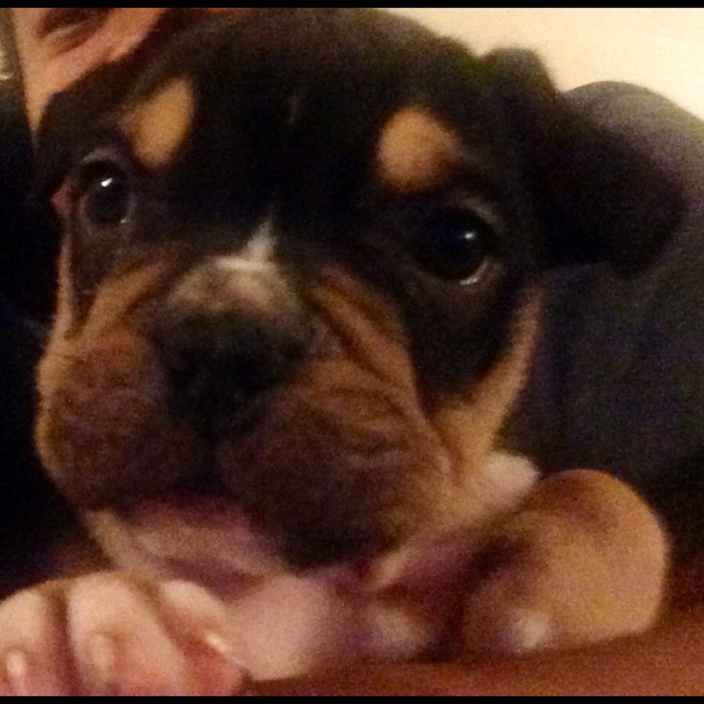 Meet your Posher, Rey